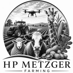 3 Metzger